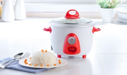 mini rice cooker for traveling