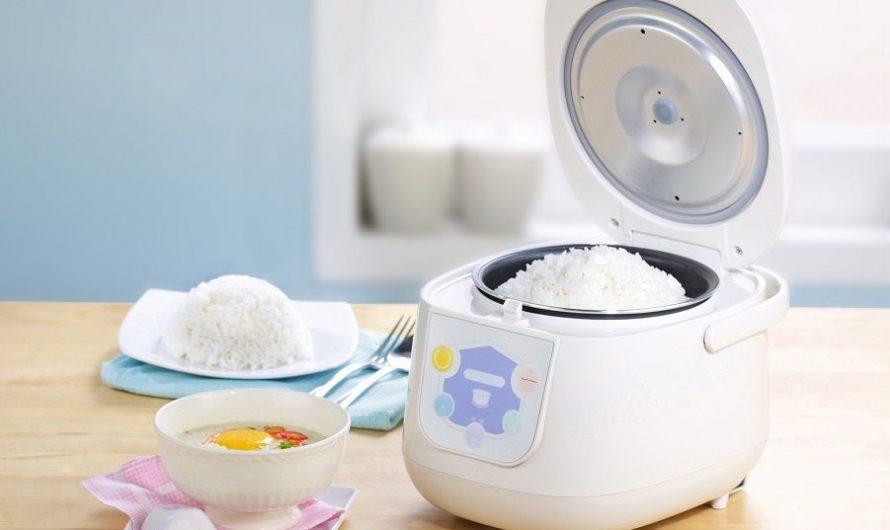 Best Fuzzy Logic Rice Cooker Reviews